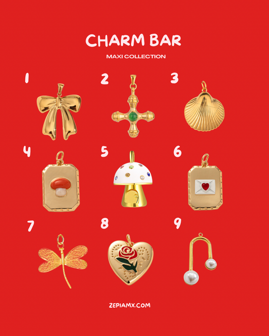 Maxi Charms